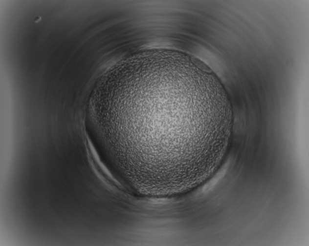 X0000093130849200710031350