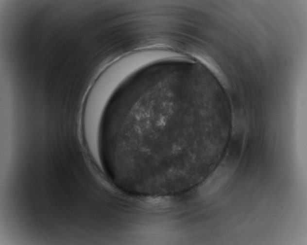 X0000093130850200710031350
