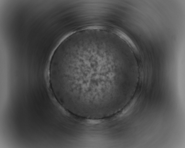X0000093130852200710031350