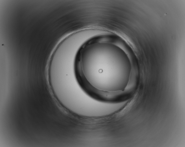 X0000093130854200710031350