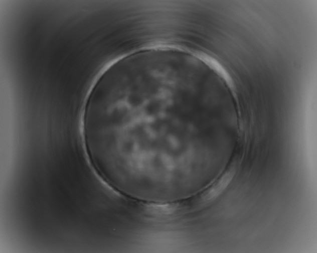 X0000093130855200710031350