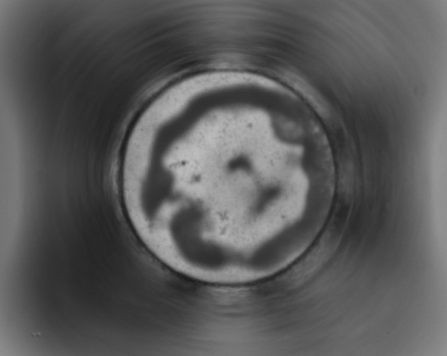 X0000093130856200710031350