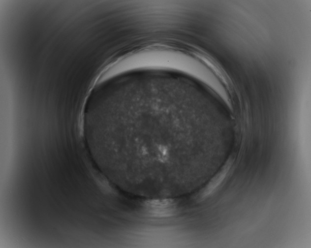 X0000093130858200710031350