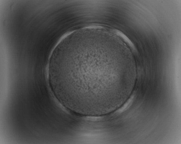 X0000093130860200710031350
