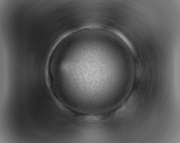 X0000093130861200710031350