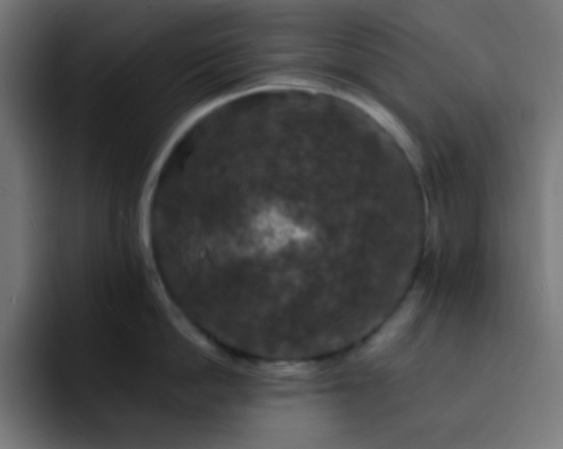 X0000093130862200710031350