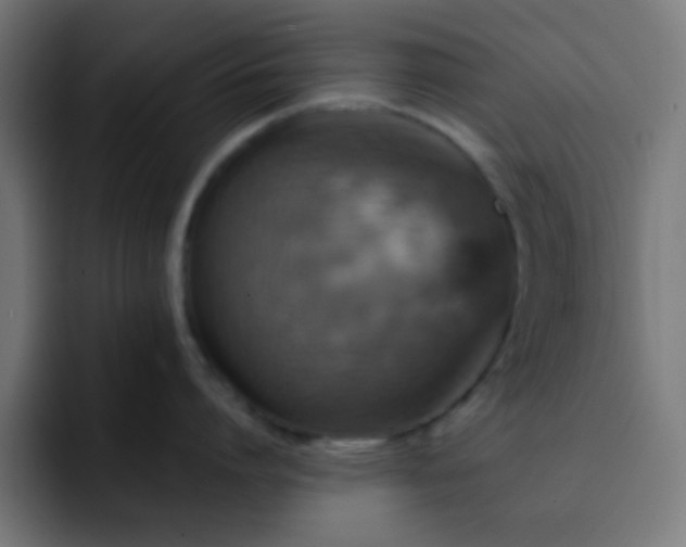 X0000093130864200710031350