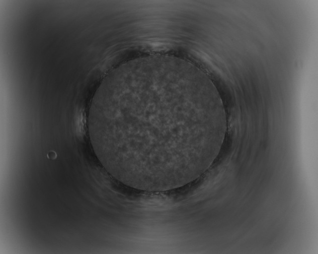 X0000093130866200710031350