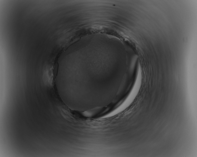 X0000093130868200710031350
