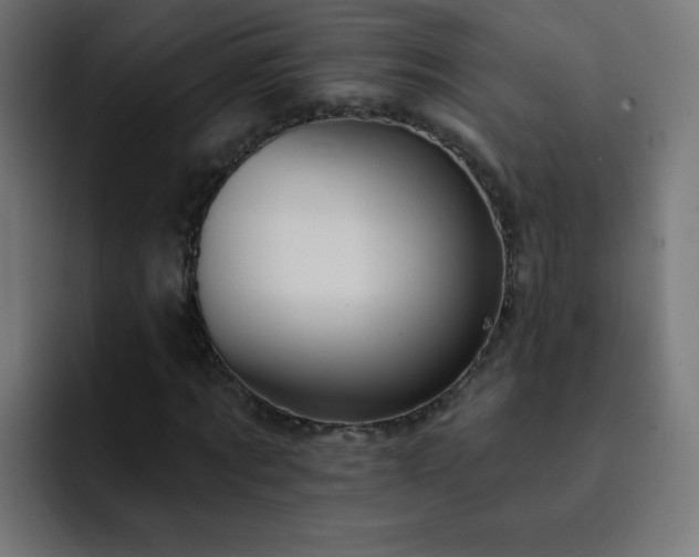 X0000093130869200710031350