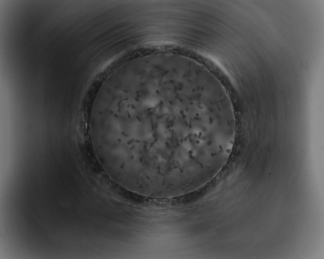 X0000093130871200710031350
