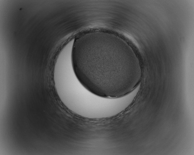 X0000093130872200710031350