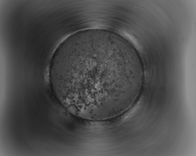 X0000093130875200710031350