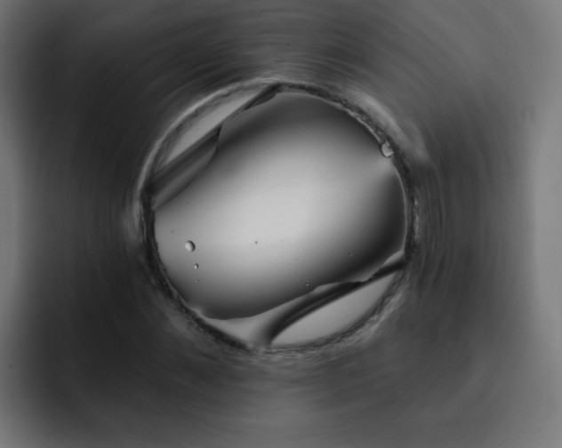 X0000093130876200710031350