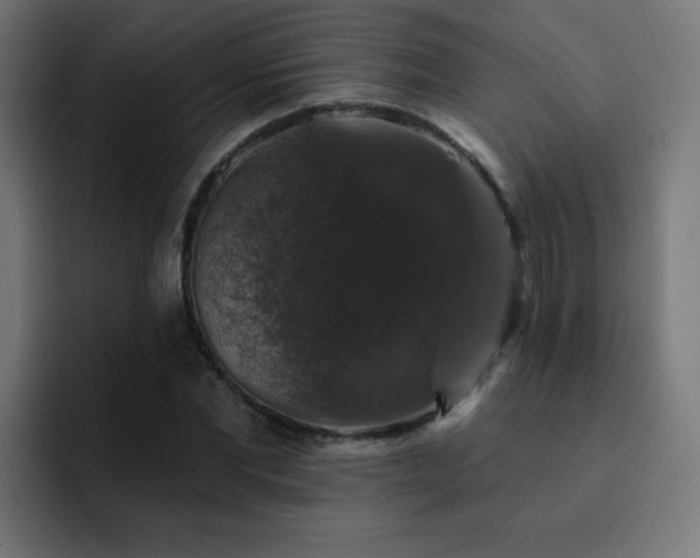 X0000093130877200710031350