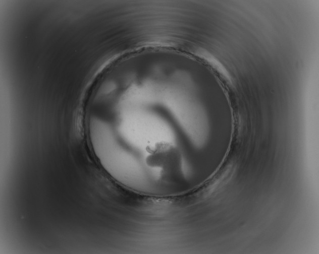 X0000093130878200710031350