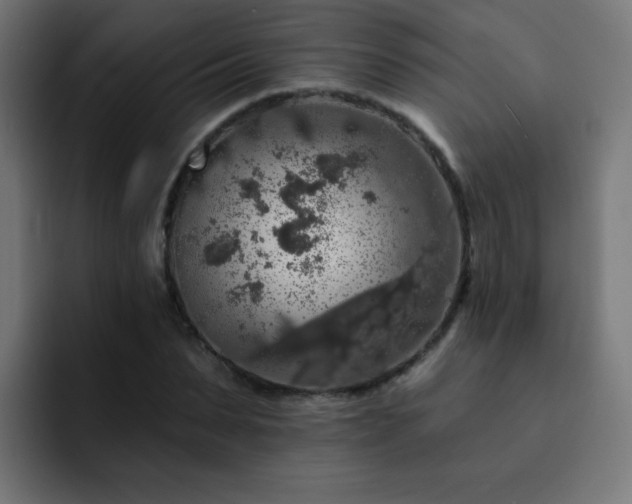 X0000093130879200710031350