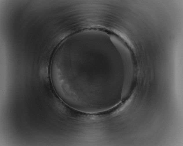 X0000093130881200710031350