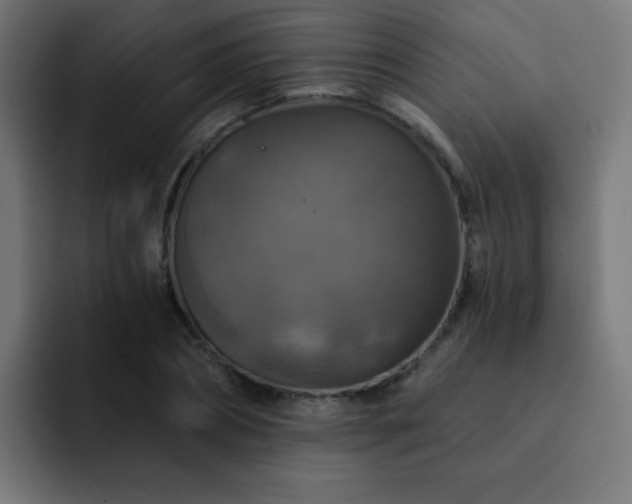X0000093130882200710031350
