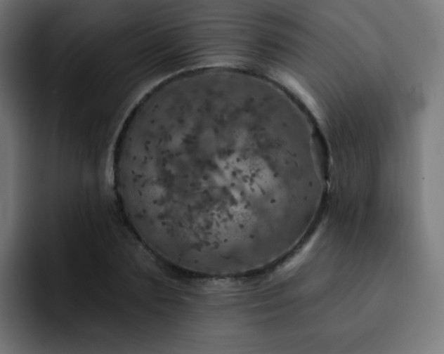 X0000093130883200710031350