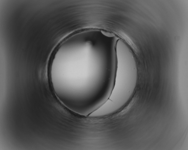 X0000093130884200710031350