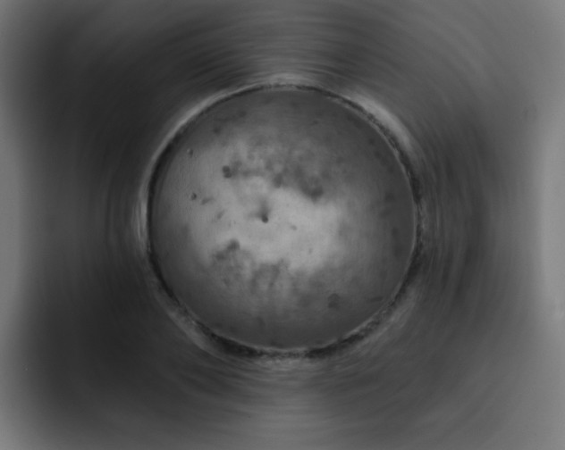 X0000093130886200710031350