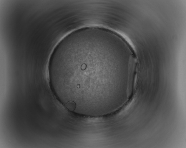 X0000093130887200710031350