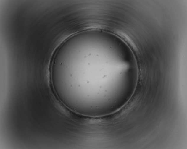 X0000093130890200710031350