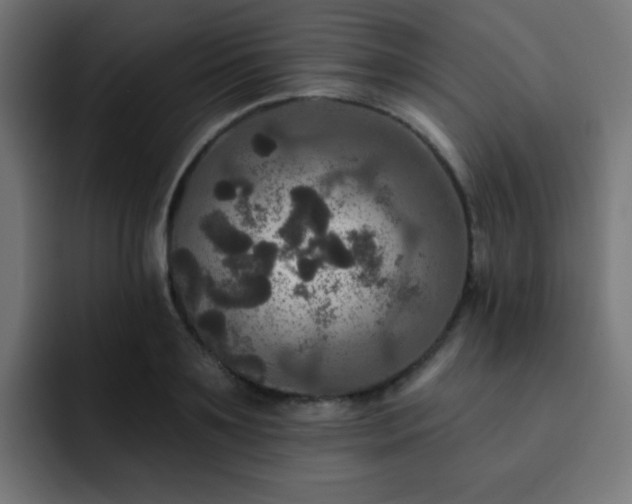 X0000093130891200710031350