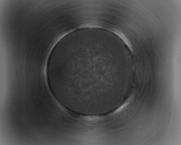 X0000093130893200710031350