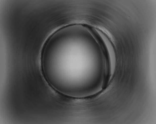 X0000093130894200710031350