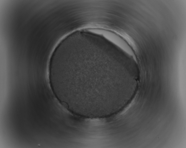 X0000093130896200710031350