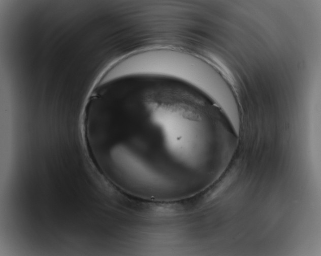 X0000093130899200710031349