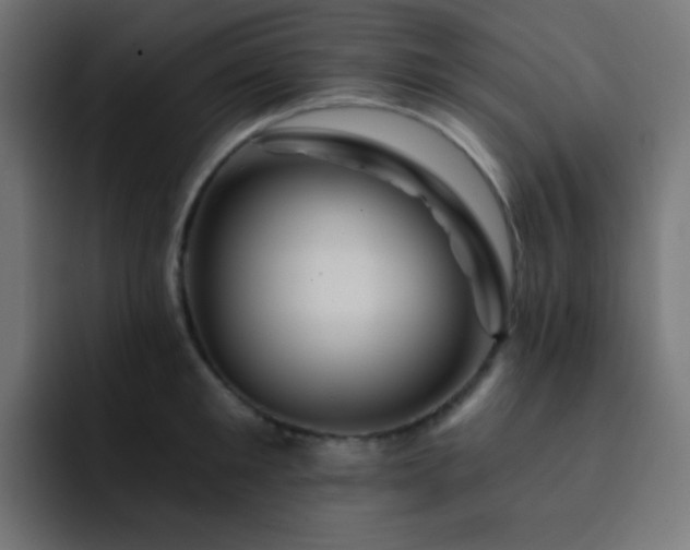 X0000093130901200710031349