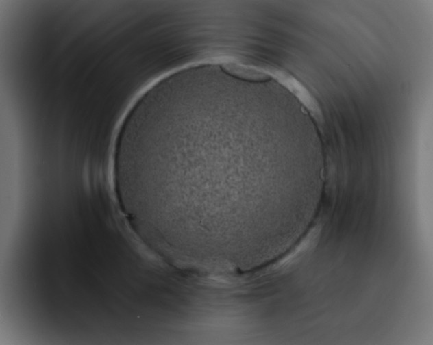 X0000093130904200710031349