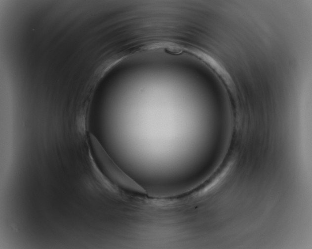 X0000093130905200710031349