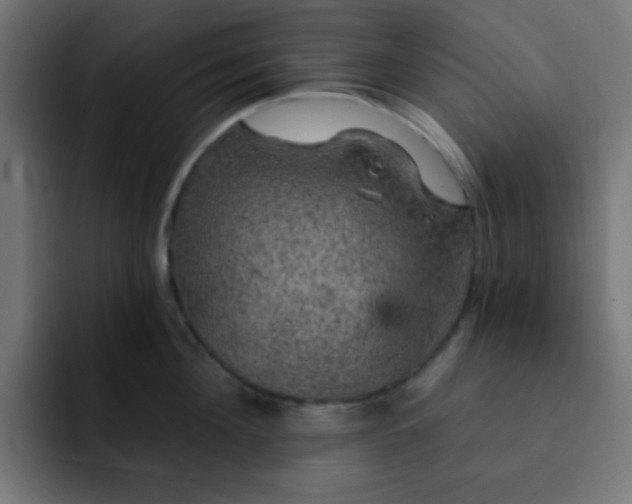 X0000093130908200710031349