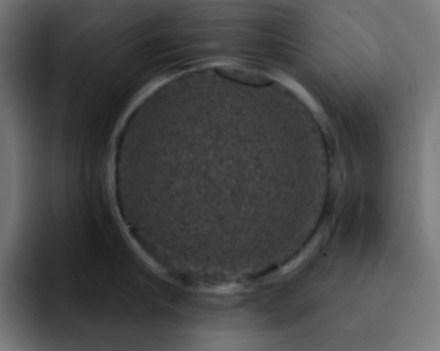 X0000093130910200710031349