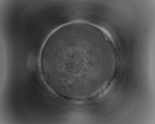 X0000093130911200710031349