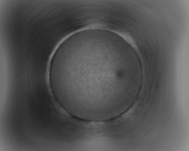 X0000093130912200710031349