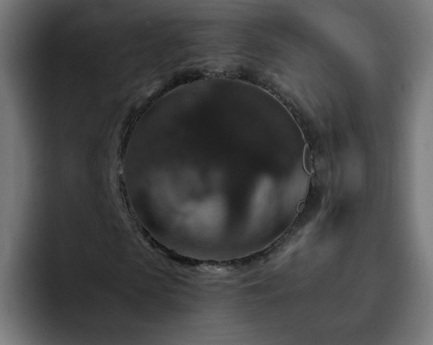 X0000093130913200710031349