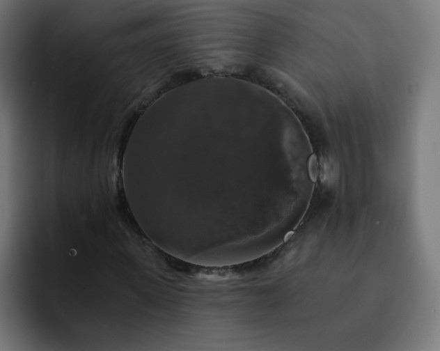 X0000093130915200710031349