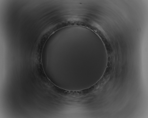 X0000093130919200710031349