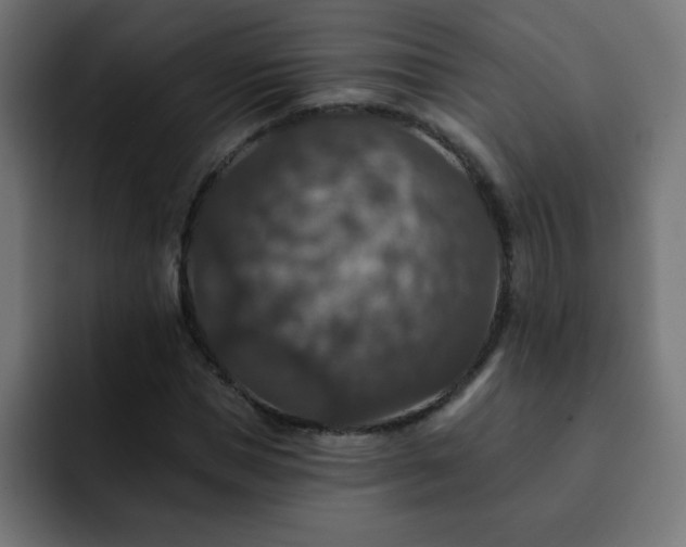 X0000093130921200710031349