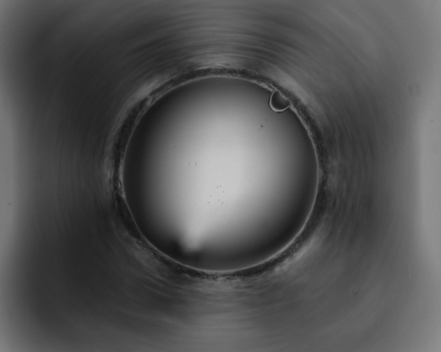 X0000093130922200710031349