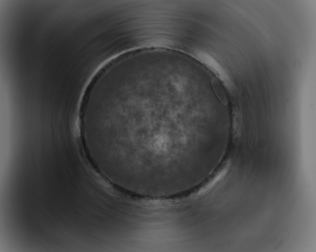 X0000093130924200710031349