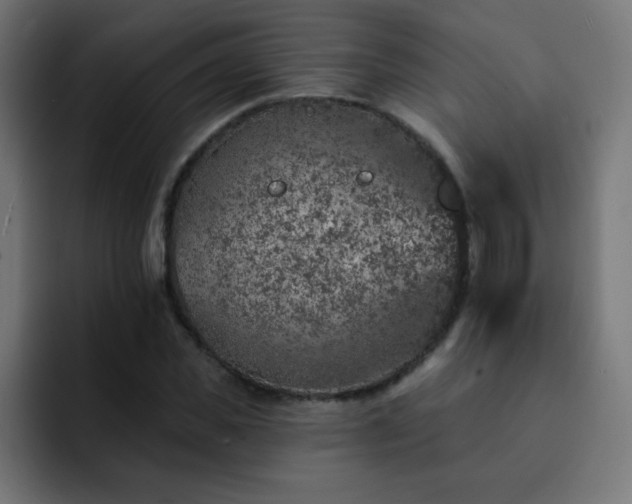 X0000093130925200710031349
