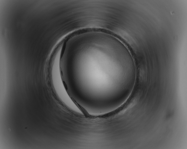X0000093130926200710031349