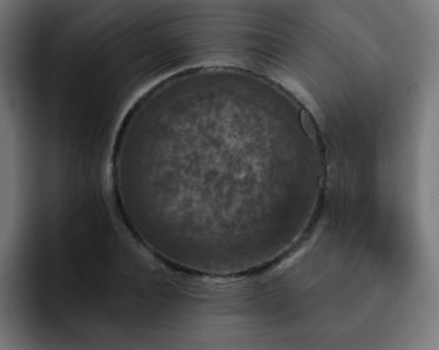 X0000093130928200710031349