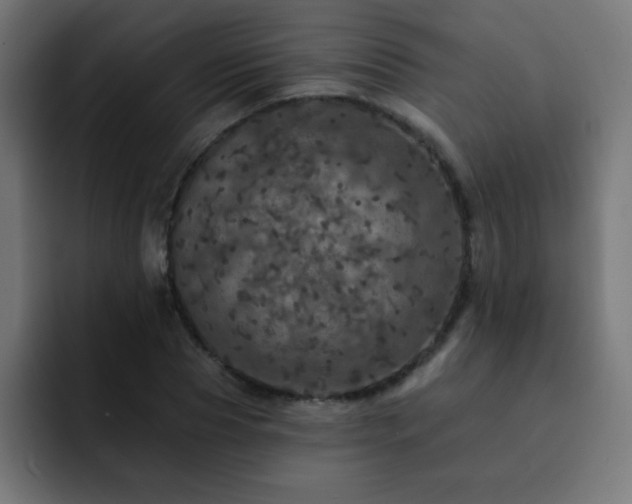 X0000093130929200710031349
